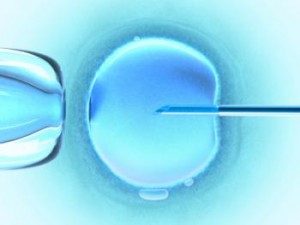 needle-penetrating-an-ovum